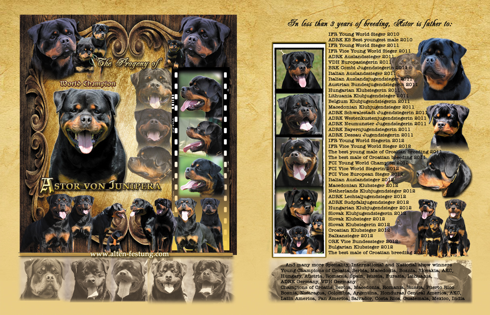 Astor von Junipera front AltenFestungTTRM1