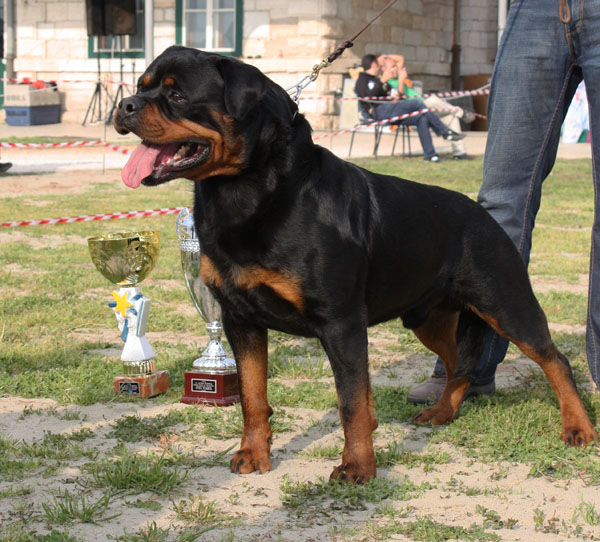 Astor von Junipera Astor von Junipera