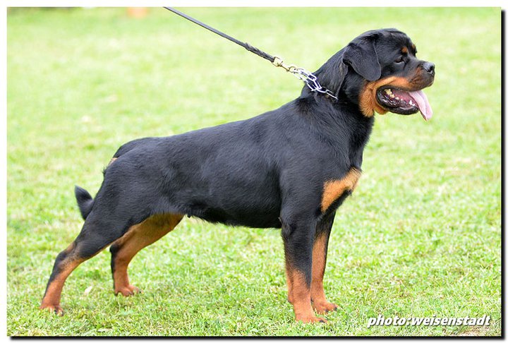 Anja von der Alten Festung Anja von der Alten Festung