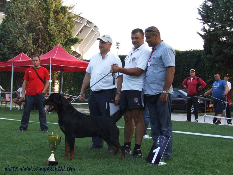 Baster of Silver Fild KG Baster of Silver Fild KG