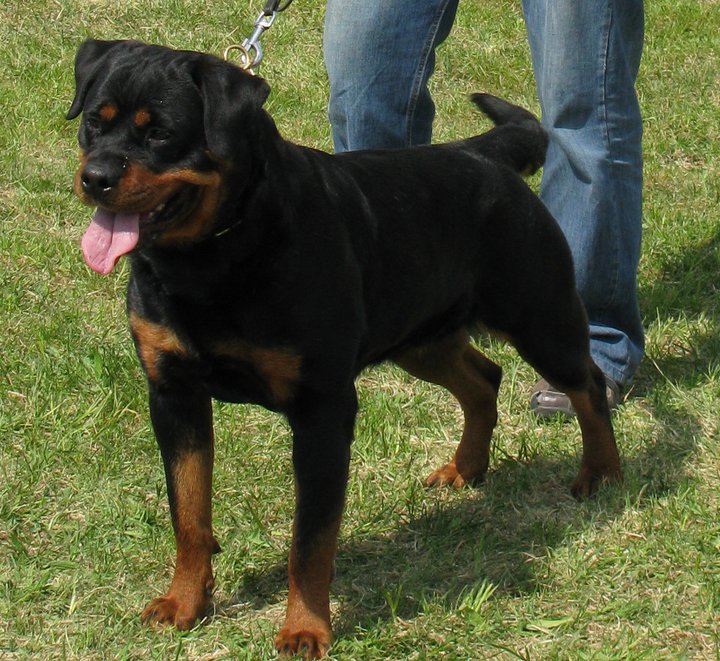 Bella von der Alten Festung Bella von der Alten Festung