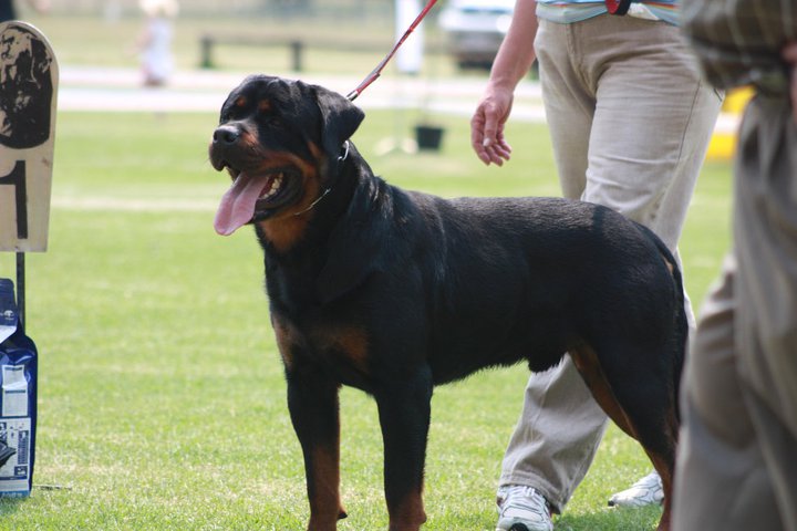 Brayan von der Alten Festung Brayan von der Alten Festung