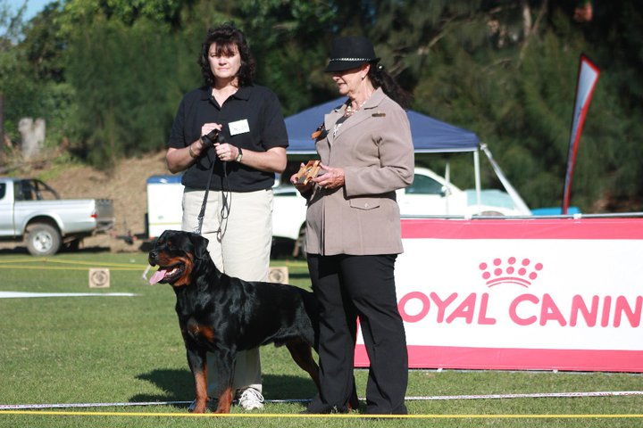 Brayan von der Alten Festung Brayan von der Alten Festung