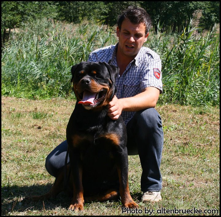 Bronco of Silver Fild KG Bronco of Silver Fild KG