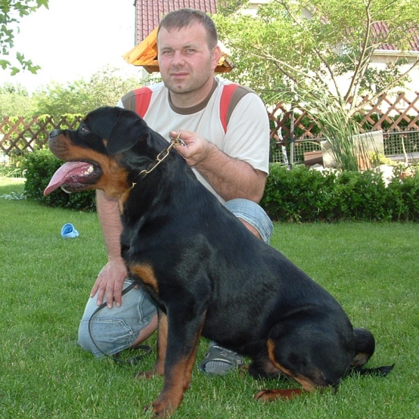 Cliff vom Deniel Rott Cliff vom Deniel Rott