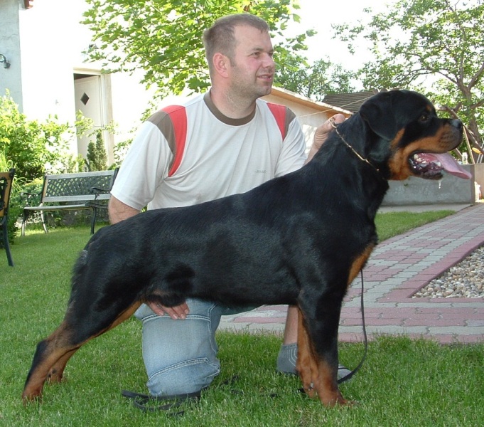 Cliff vom Deniel Rott Cliff vom Deniel Rott