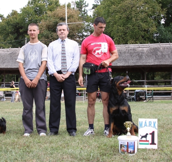 Diego von der Alten Festung Diego von der Alten Festung