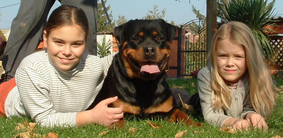 Dita von der Alten Festung Dita von der Alten Festung