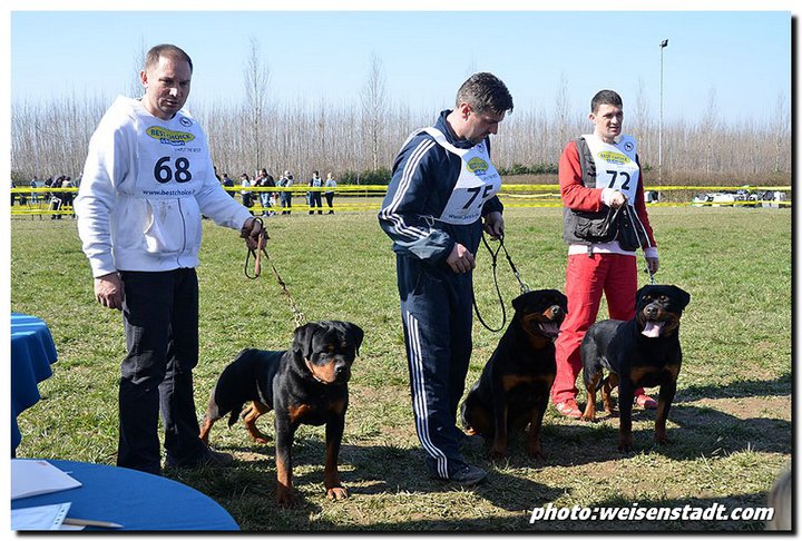 Eduard von der Alten Festung Eduard von der Alten Festung