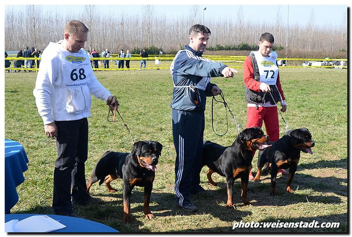 Astor's sons, 10 months old Astor's sons, 10 months old