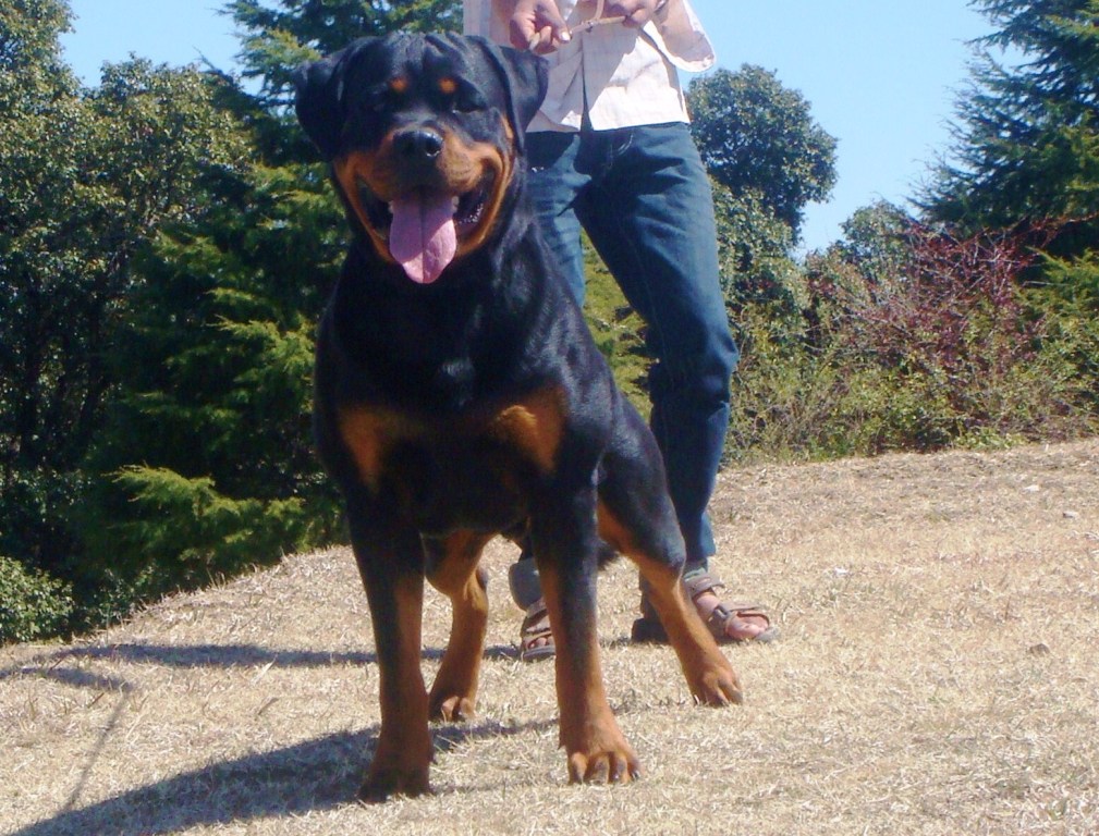 Ex von der Alten Festung Ex von der Alten Festung