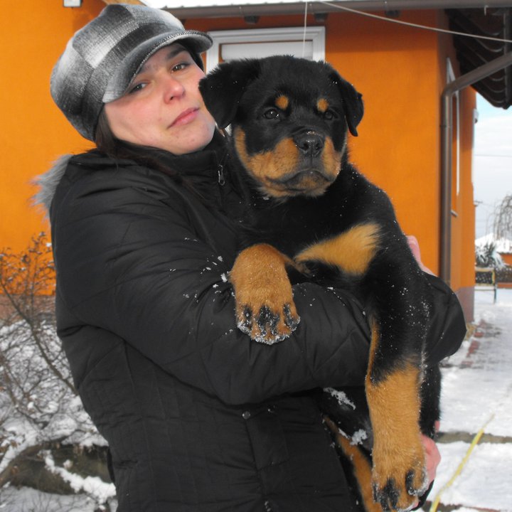 Farah von der Alten Festung Farah von der Alten Festung