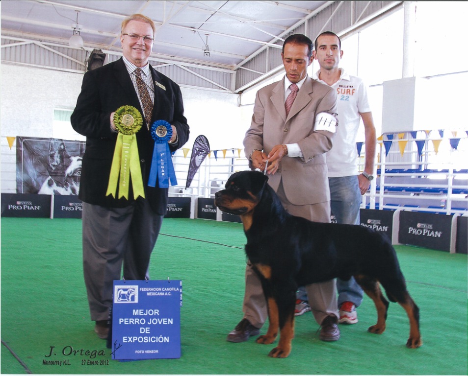 Furst von der Alten Festung Furst von der Alten Festung