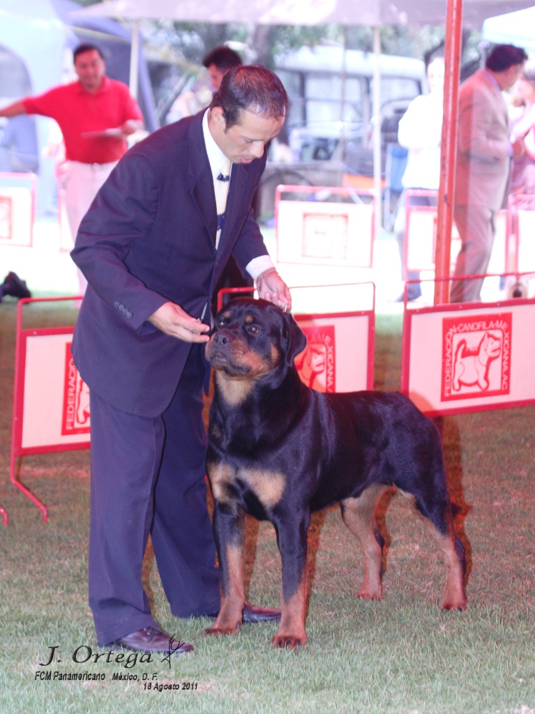 Furst von der Alten Festung Furst von der Alten Festung