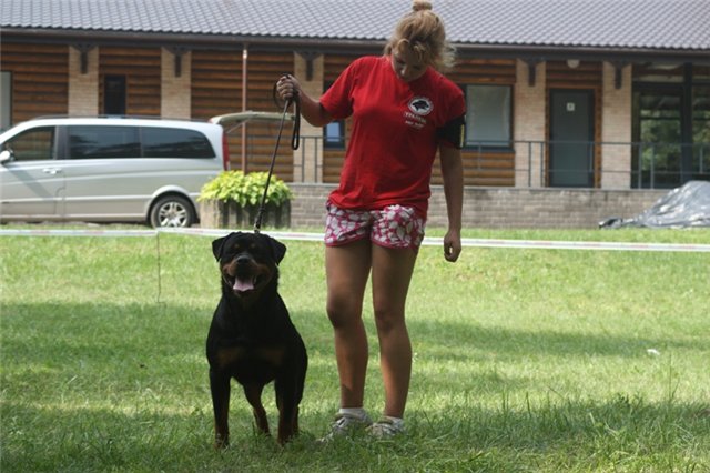 Happy iz Tverskogo Doma Happy iz Tverskogo Doma