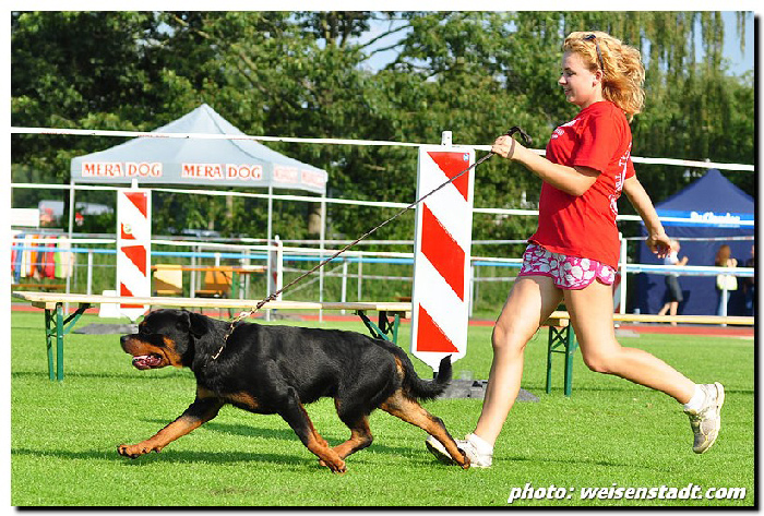 Happy iz Tverskogo Doma Happy iz Tverskogo Doma