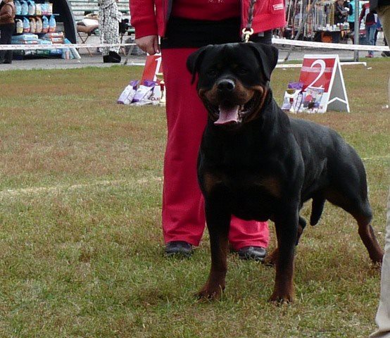 Ismey Is Roajus Slenio Ismey Is Roajus Slenio