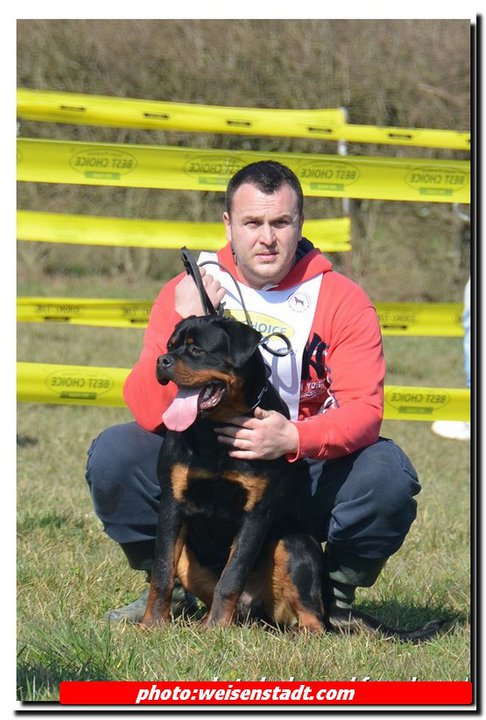 Jerry Lee van Gorgar Jerry Lee van Gorgar