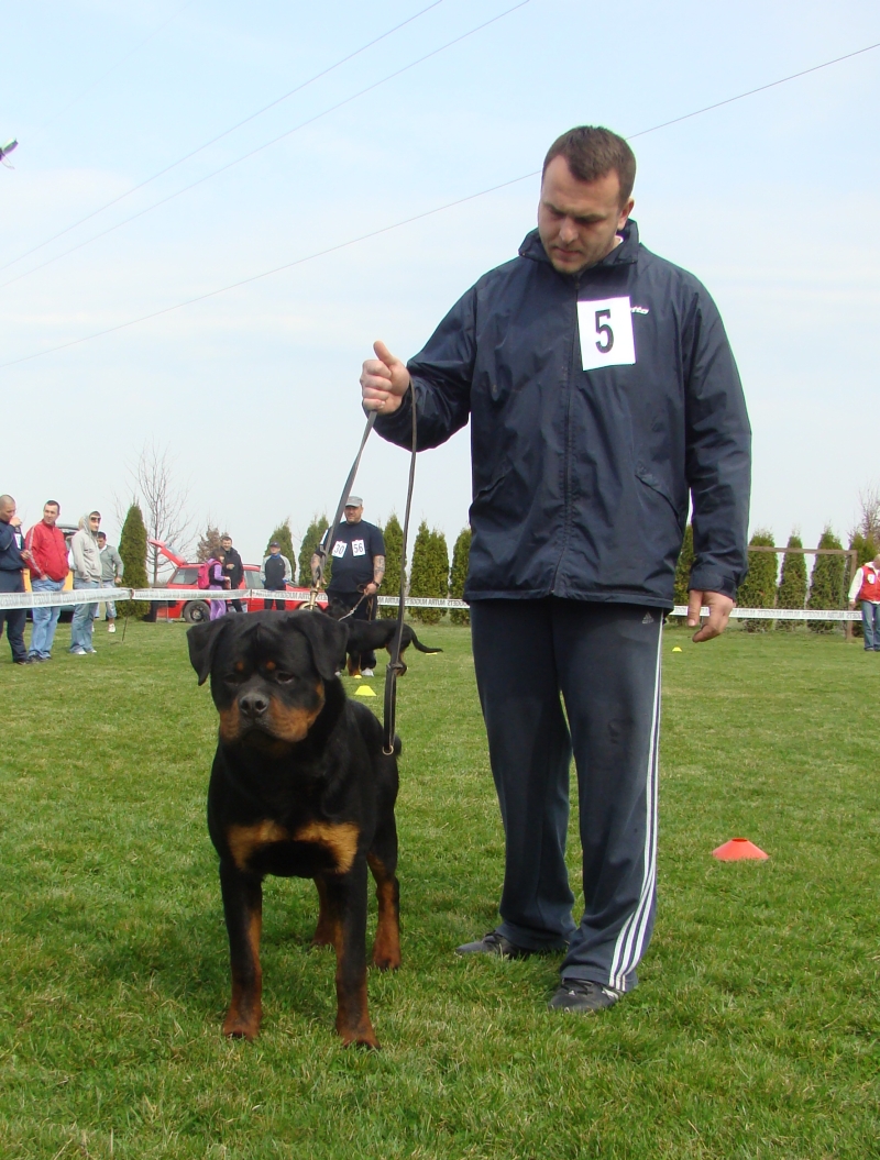 Jerry Lee van Gorgar Jerry Lee van Gorgar