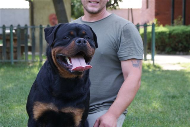 Jerry Lee van Gorgar Jerry Lee van Gorgar