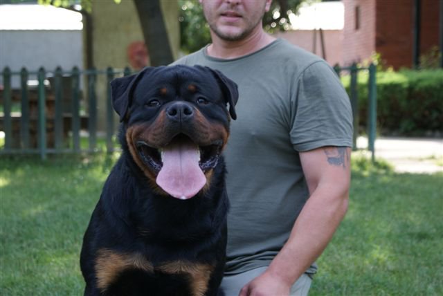 Jerry Lee van Gorgar Jerry Lee van Gorgar