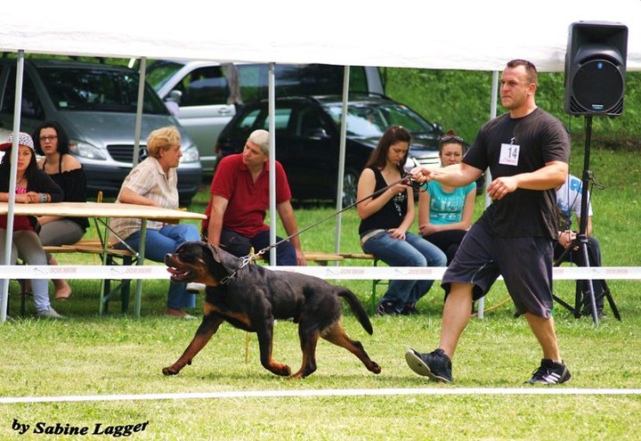 Jerry Lee van Gorgar Jerry Lee van Gorgar