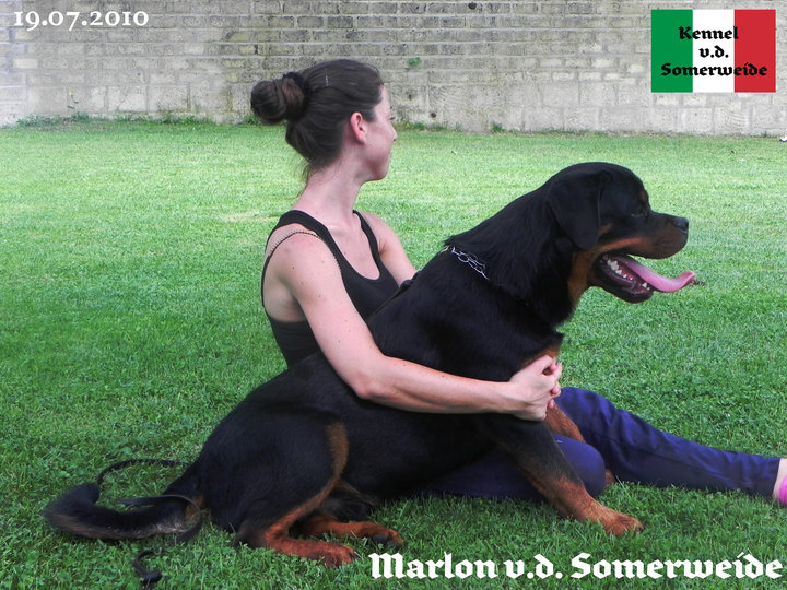 Marlon von der Somerweide Marlon von der Somerweide