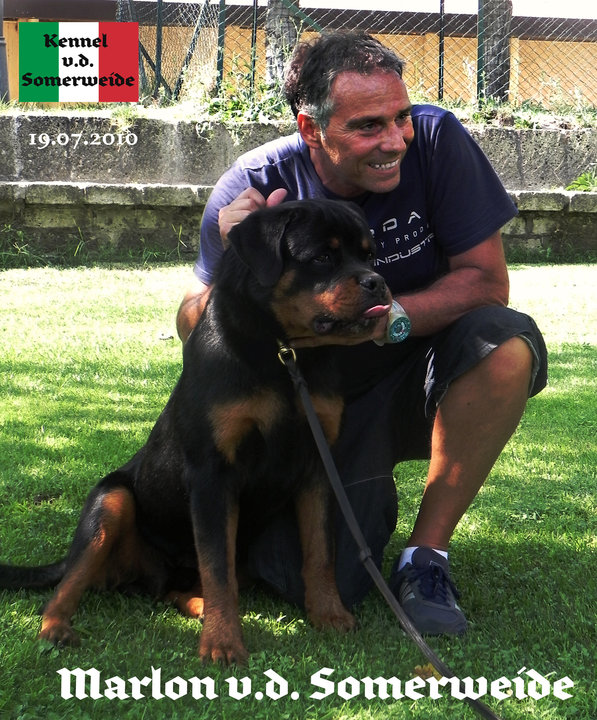 Marlon von der Somerweide Marlon von der Somerweide