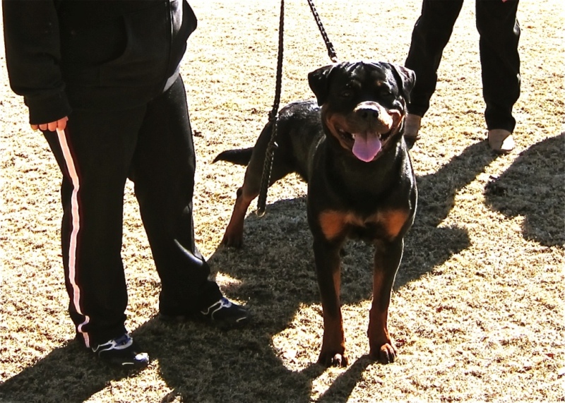 Dominico von der Alten Festung Dominico von der Alten Festung