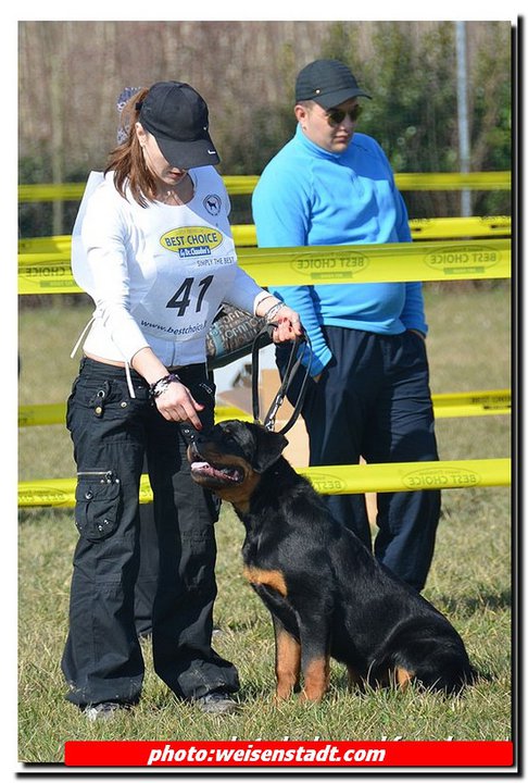 Phoenix vom Entferntland Phoenix vom Entferntland
