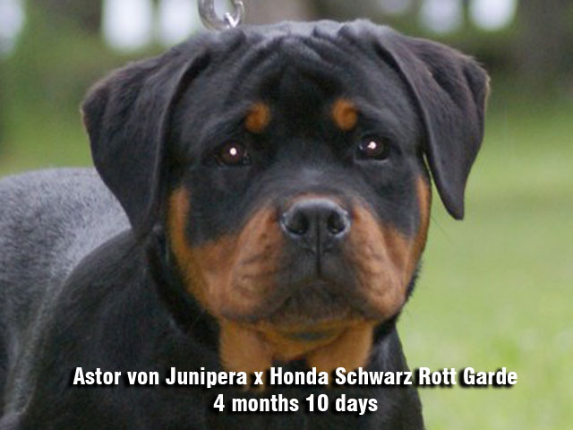 Ria von der Baluen Welle Ria von der Baluen Welle