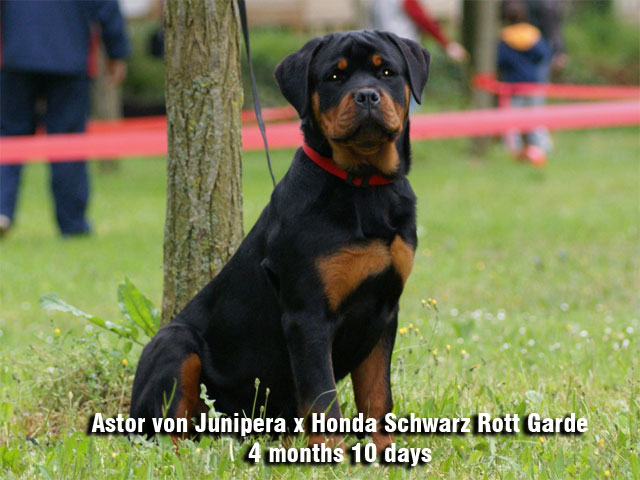 Ria von der Baluen Welle Ria von der Baluen Welle