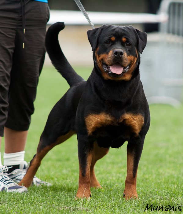 Arzadons Roxanne Arzadons Roxanne