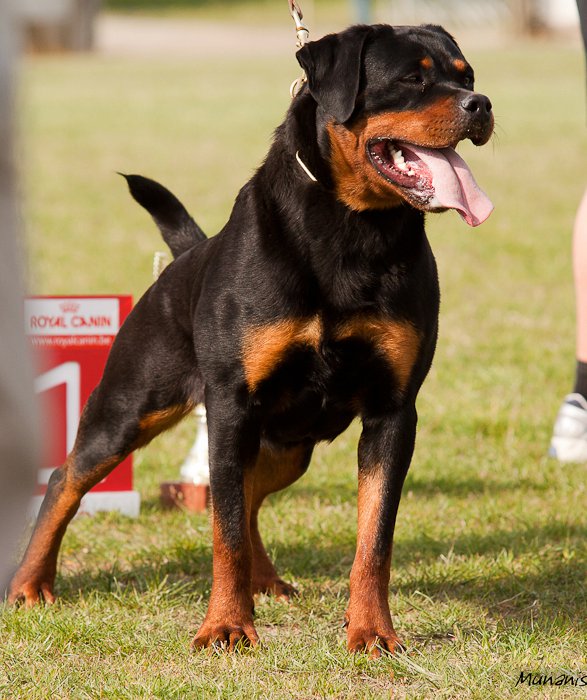 Viva von Kelemen Viva von Kelemen