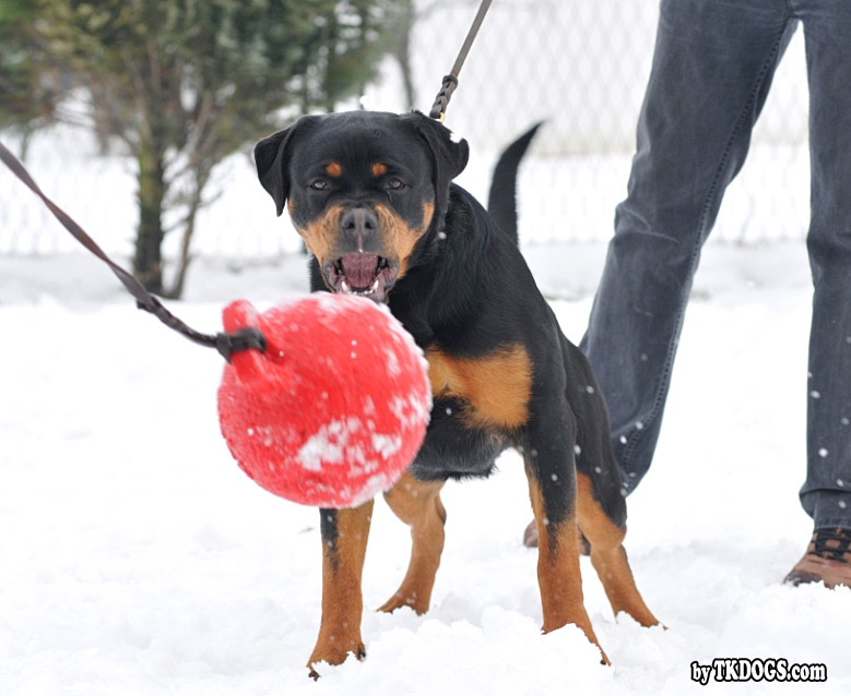 Yaffa von der Alten Festung Yaffa von der Alten Festung