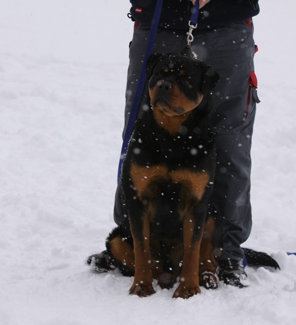 Yoy von der Alten Festung Yoy von der Alten Festung