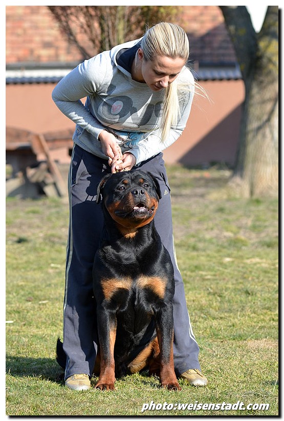 Zar von der Alten Festung Zar von der Alten festung