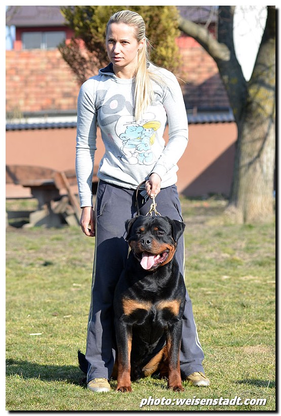 Zar von der Alten Festung Zar von der Alten Festung