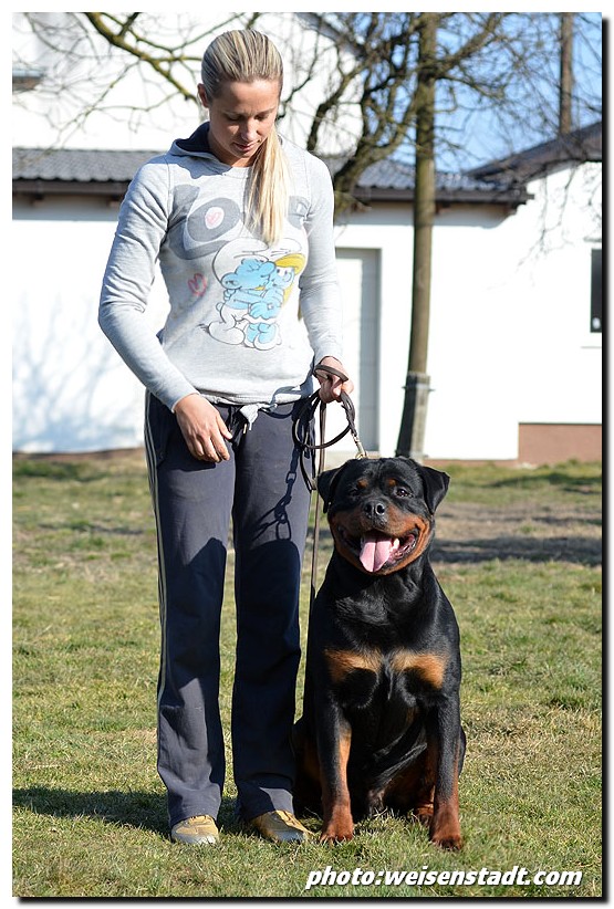 Zar von der Alten Festung Zar von der Alten Festung