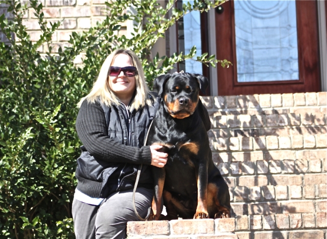 Zorion von der Alten Festung Zorion von der Alten Festung