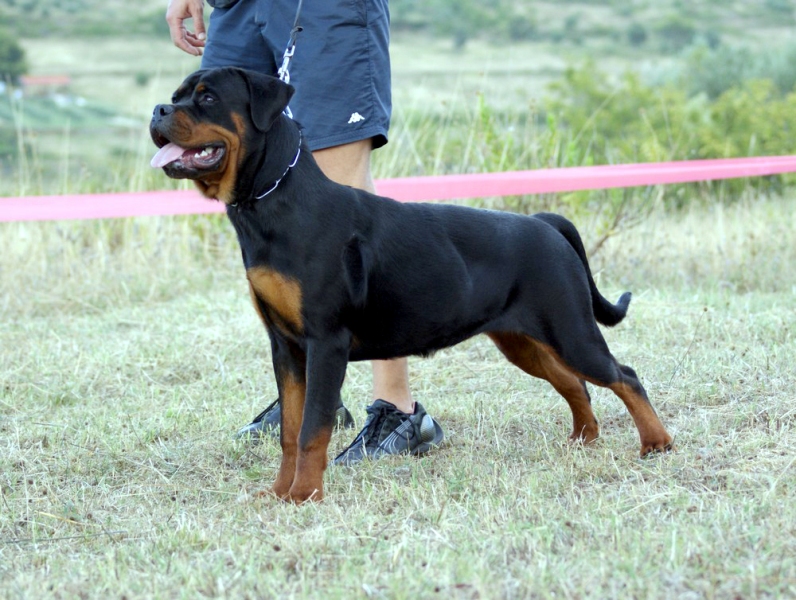 Ria von der Baluen Welle Ria von der Baluen Welle