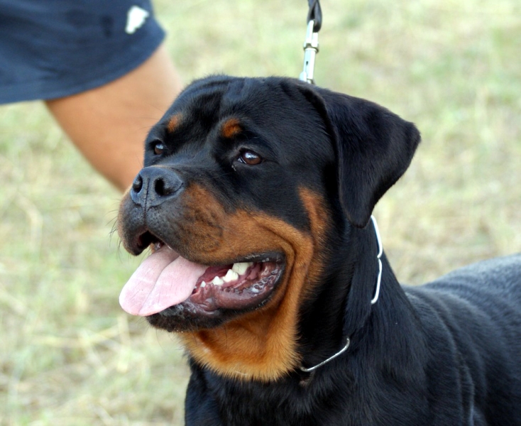 Ria von der Baluen Welle Ria von der Baluen Welle