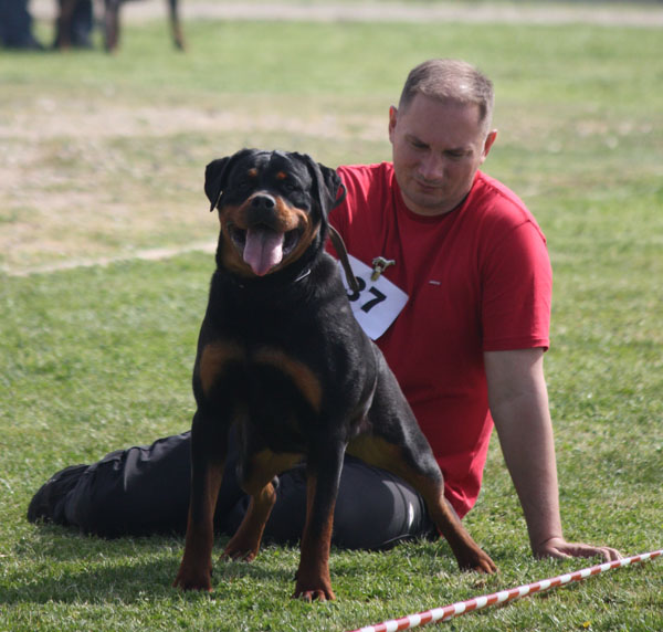 Viva von Kelemen Viva von Kelemen