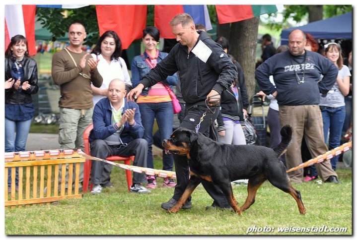 Astor von Junipera Astor von Junipera