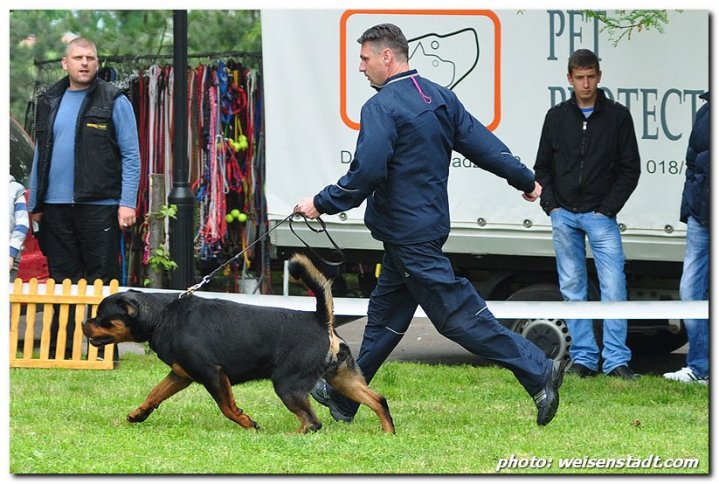 Yerri von der Alten Festung Yerri von der Alten Festung