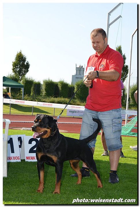 Bella von der Alten Festung Bella von der Alten Festung