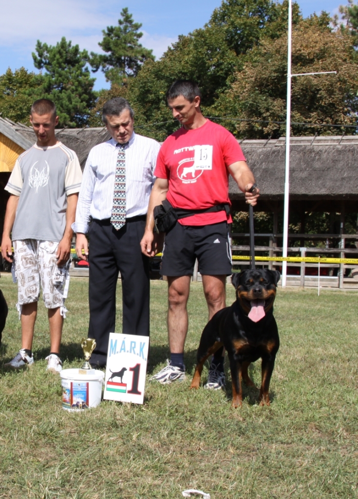 Josy vom Deniel Rott Josy vom Deniel Rott