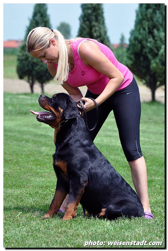 Brando von der Alten Festung Brando von der Alten Festung