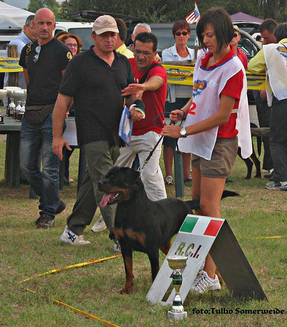 Cloe vom Engelblick Cloe vom Engelblick