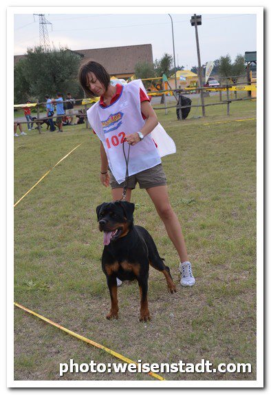 Cloe vom Engelblick Cloe vom Engelblick